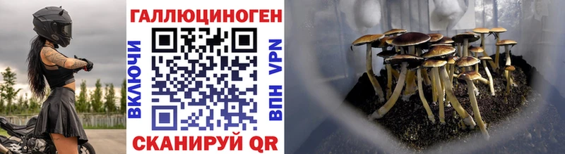 Псилоцибиновые грибы мицелий  Чишмы 